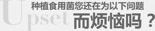 種植食用菌您還在為以下問(wèn)題而煩惱嗎？
