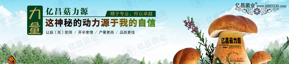 億昌菇力源——讓菇（耳）肥厚、開傘更慢、產(chǎn)量更高、品質(zhì)更佳